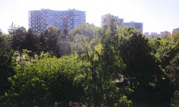 </a>